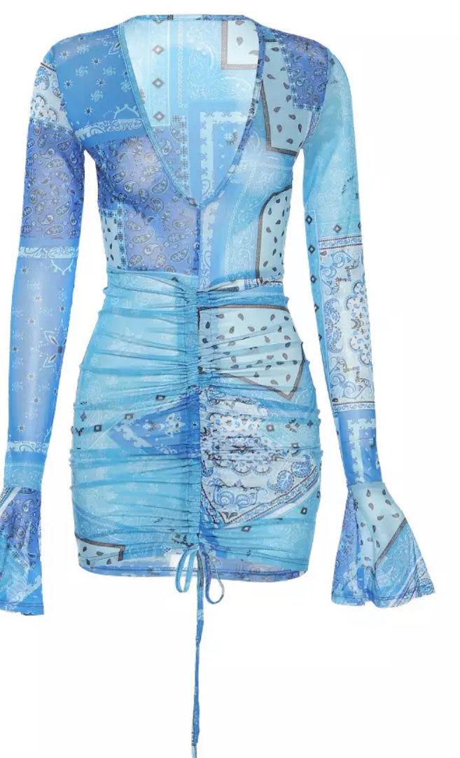 Blue calico