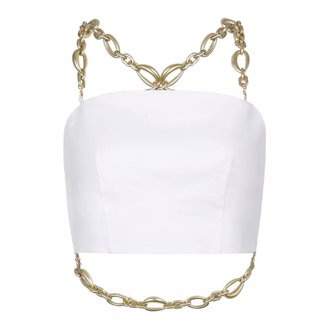Chain halter